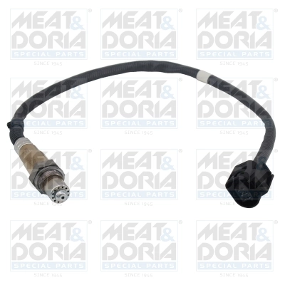 Oxygen Sensor